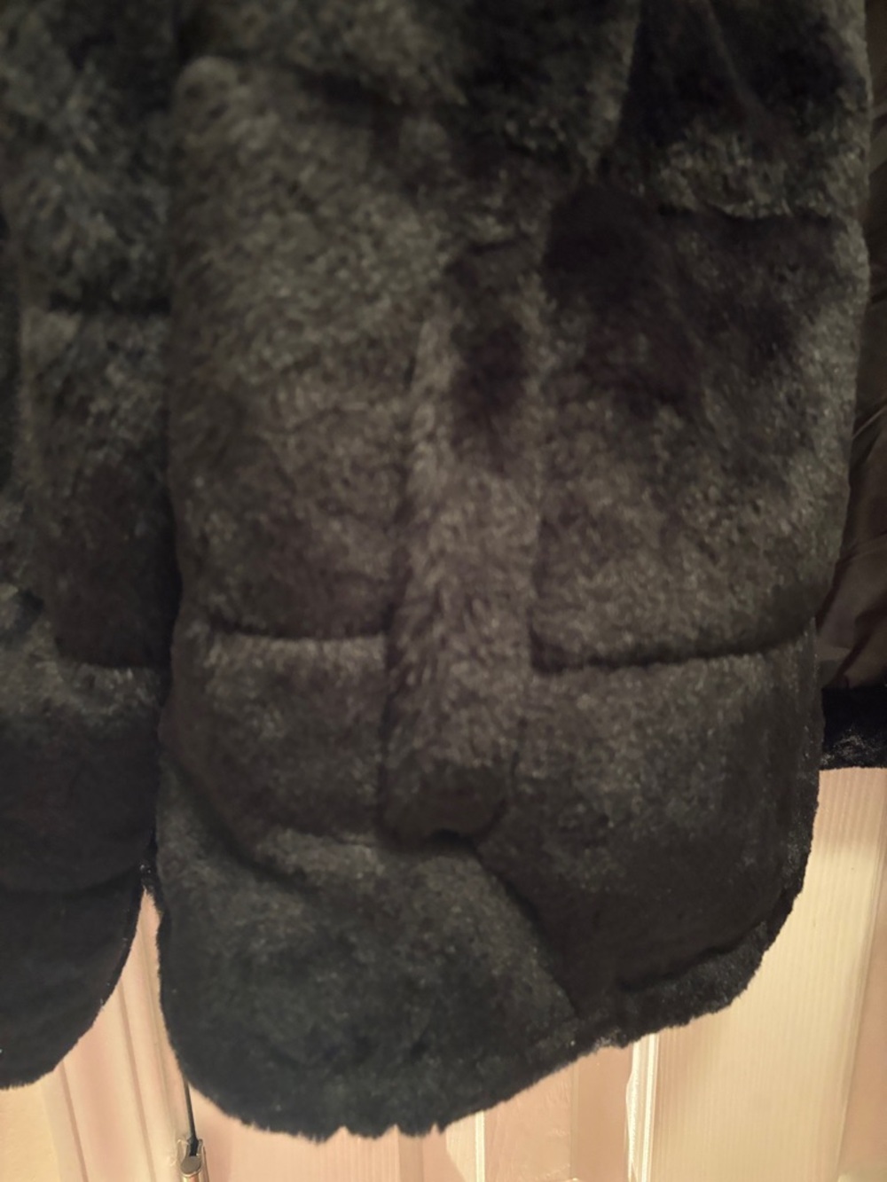 Plush Black Teddy Faux-Fur Short Jacket - Picture 5 of 5
